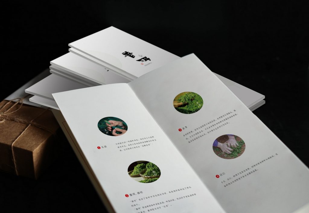 brochure printing in china