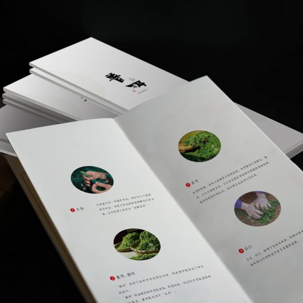 brochure printing in china