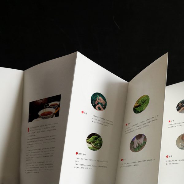 brochure printing in china